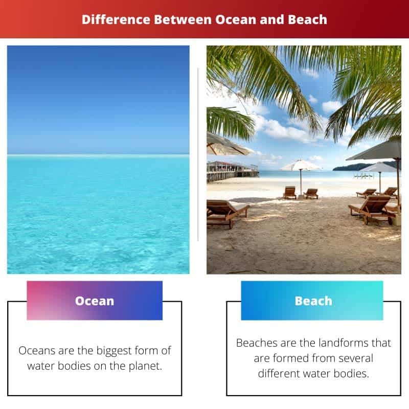 Ocean Vs Beach Difference And Comparison