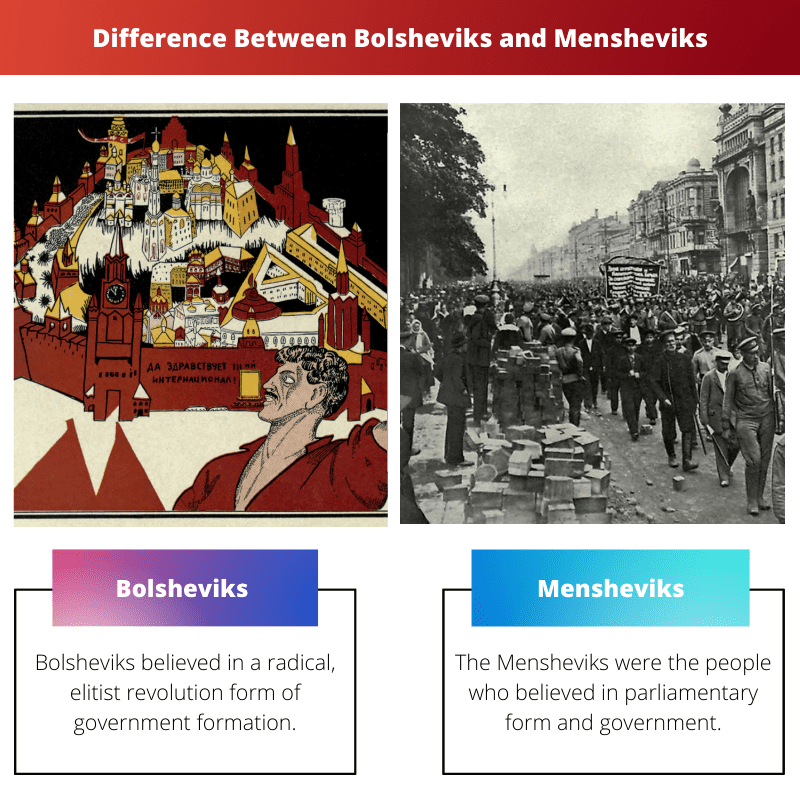 Difference Between Bolsheviks and Mensheviks