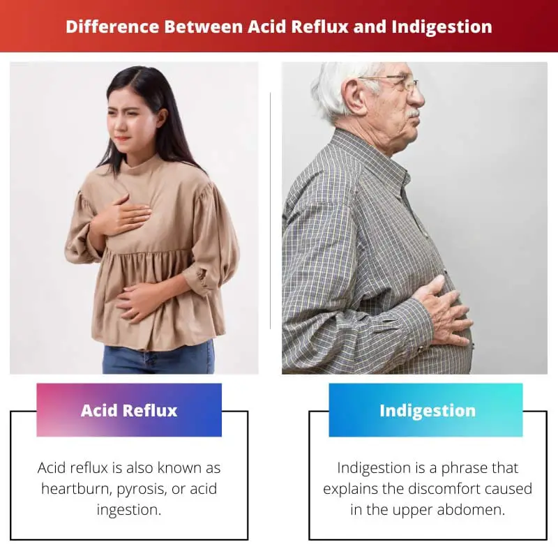 Difference Between Acid Reflux and Indigestion