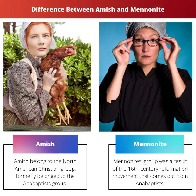 Difference Between Amish and Mennonite