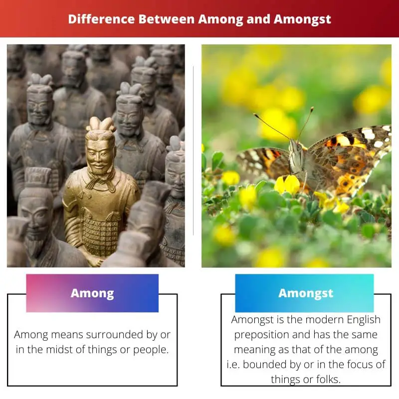Difference Between Among and Amongst