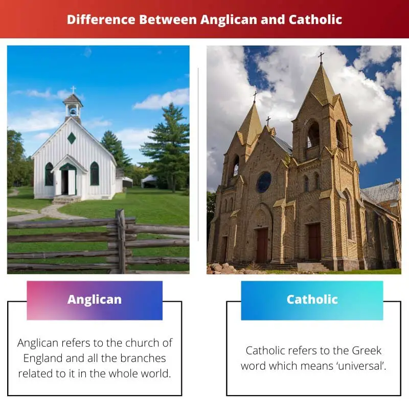 Difference Between Anglican and Catholic