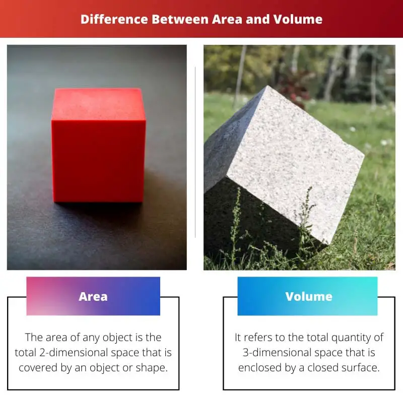Difference Between Area and Volume