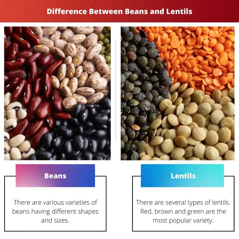 Difference Between Beans and Lentils