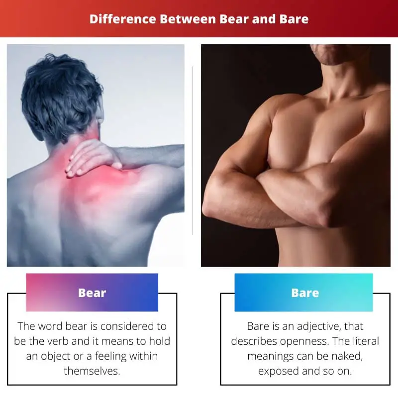 Difference Between Bear and Bare