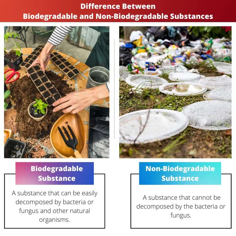 Difference Between Biodegradable and Non Biodegradable Substances