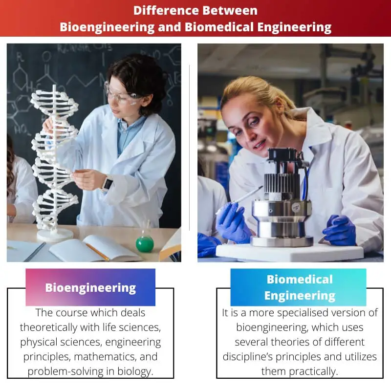 Difference Between Bioengineering and Biomedical Engineering