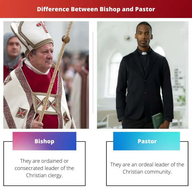 Difference Between Bishop and Pastor