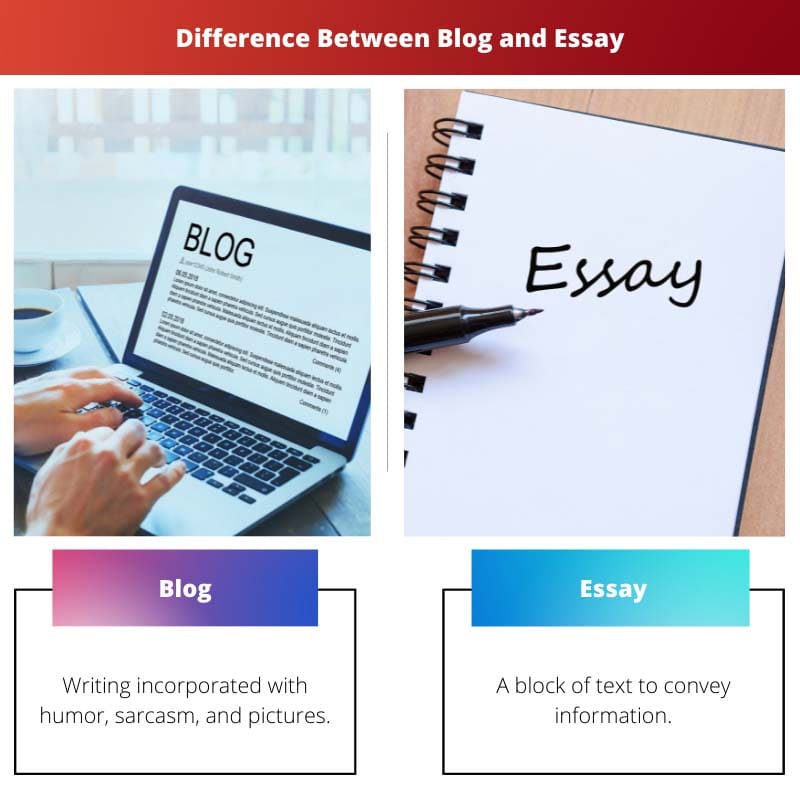 Difference Between Blog and Essay