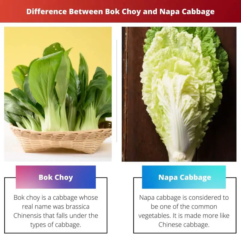 Difference Between Bok Choy and Napa Cabbage