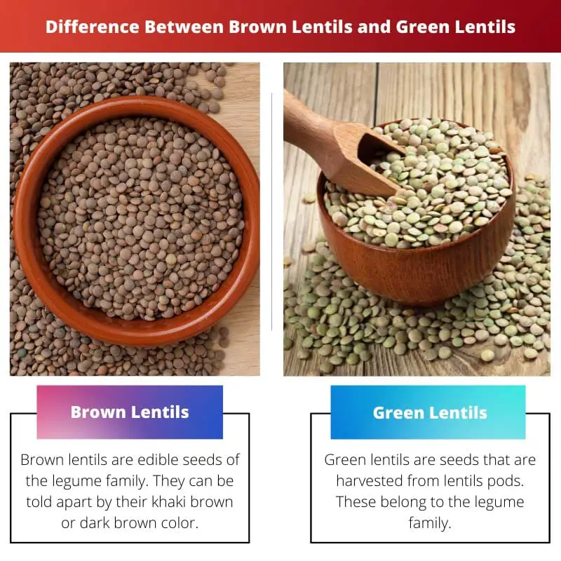 Difference Between Brown Lentils and Green Lentils