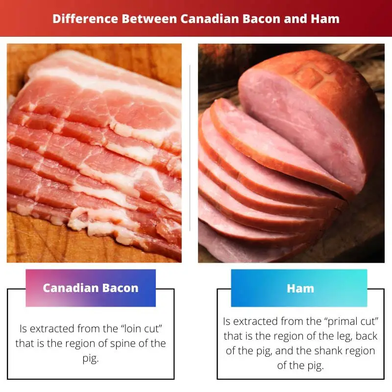 Difference Between Canadian Bacon and Ham