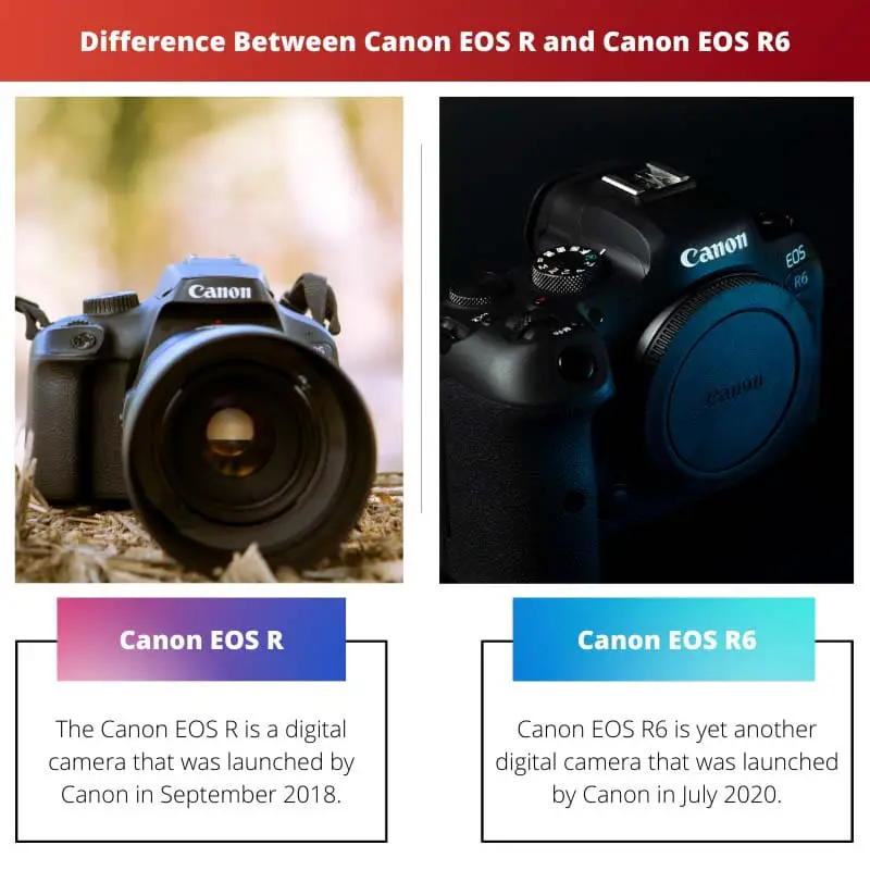 Difference Between Canon EOS R and Canon EOS R6