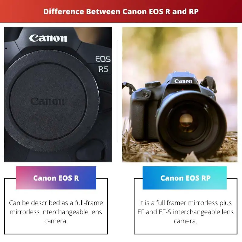 Difference Between Canon EOS R and RP