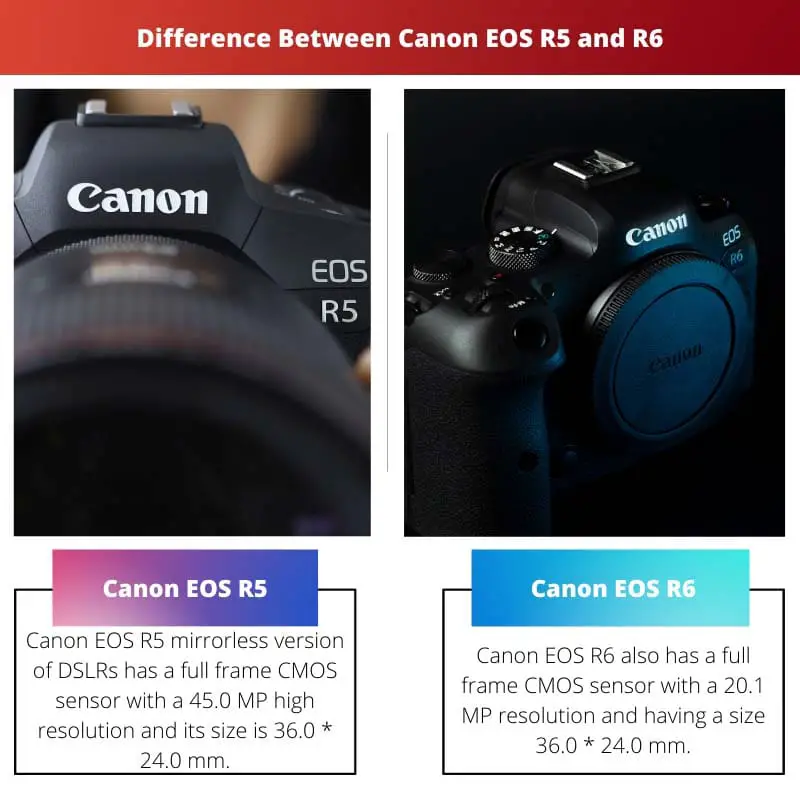 Difference Between Canon EOS R5 and R6