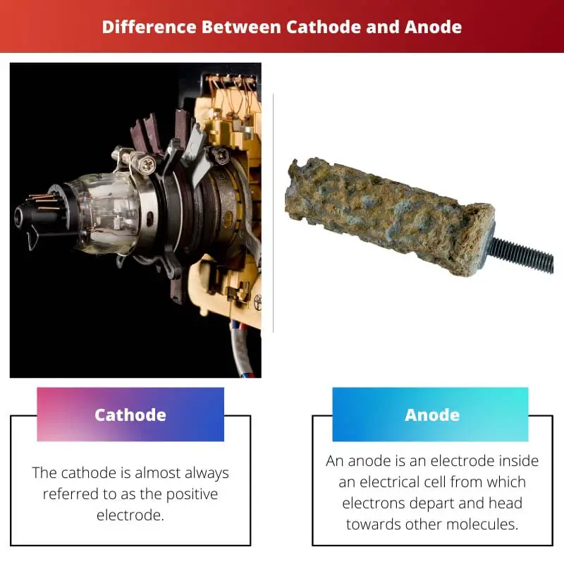 Difference Between Cathode and Anode