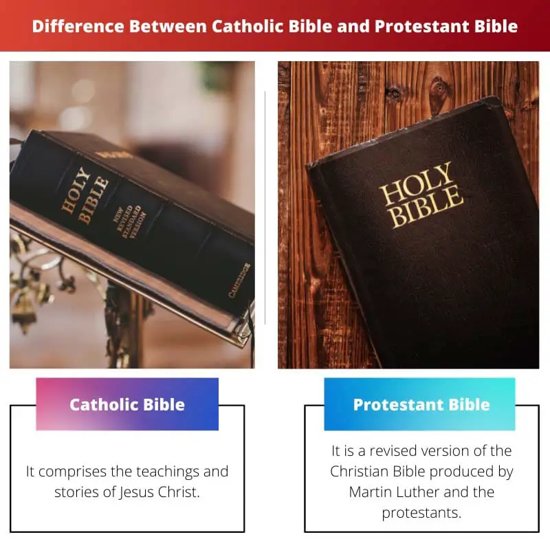Difference Between Catholic Bible and Protestant Bible