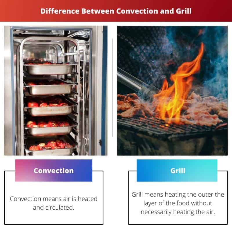 Convection vs Grill Difference and Comparison