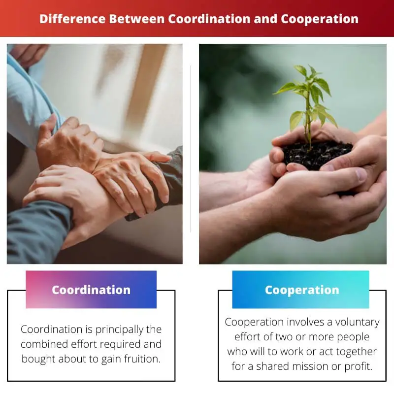 Difference Between Coordination and Cooperation