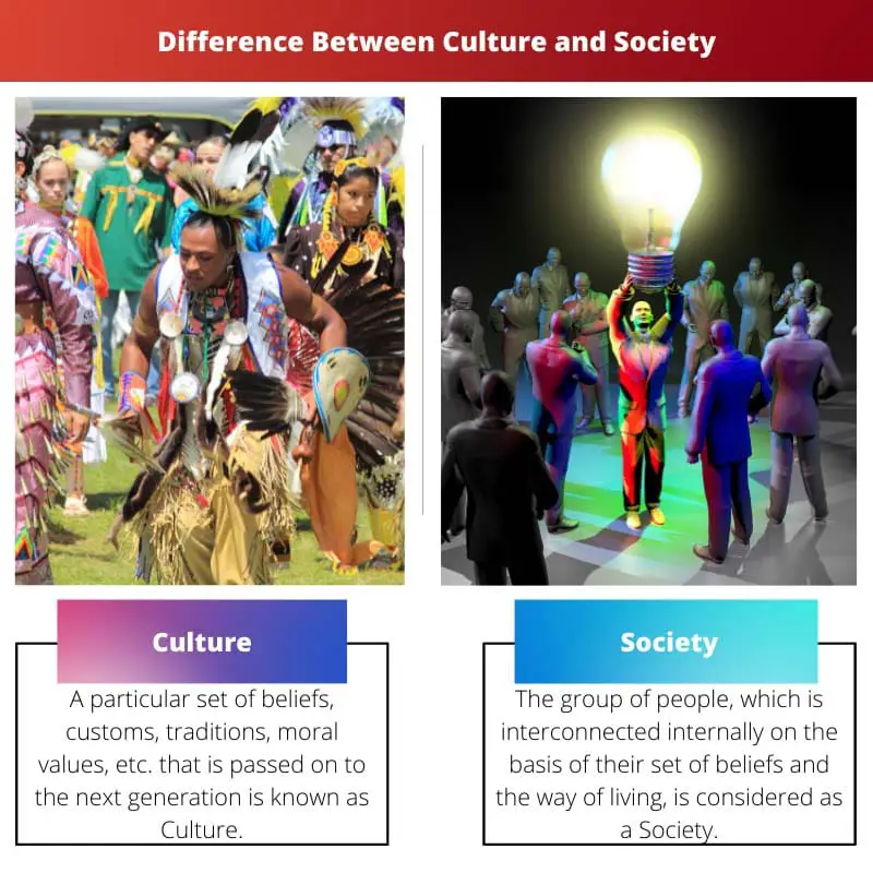 Difference Between Culture and Society