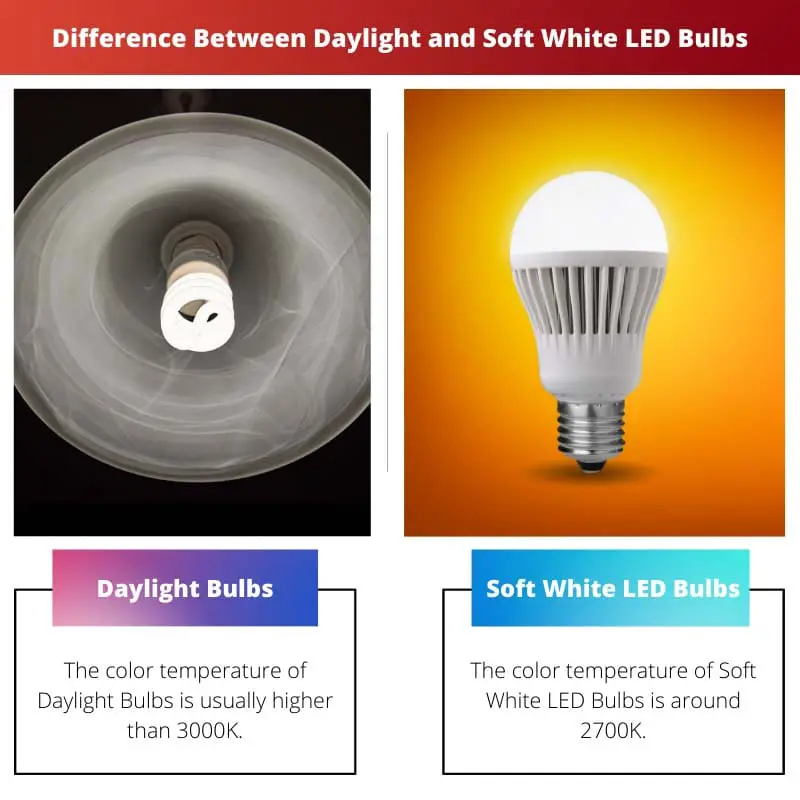 Difference Between Daylight and Soft White LED Bulbs