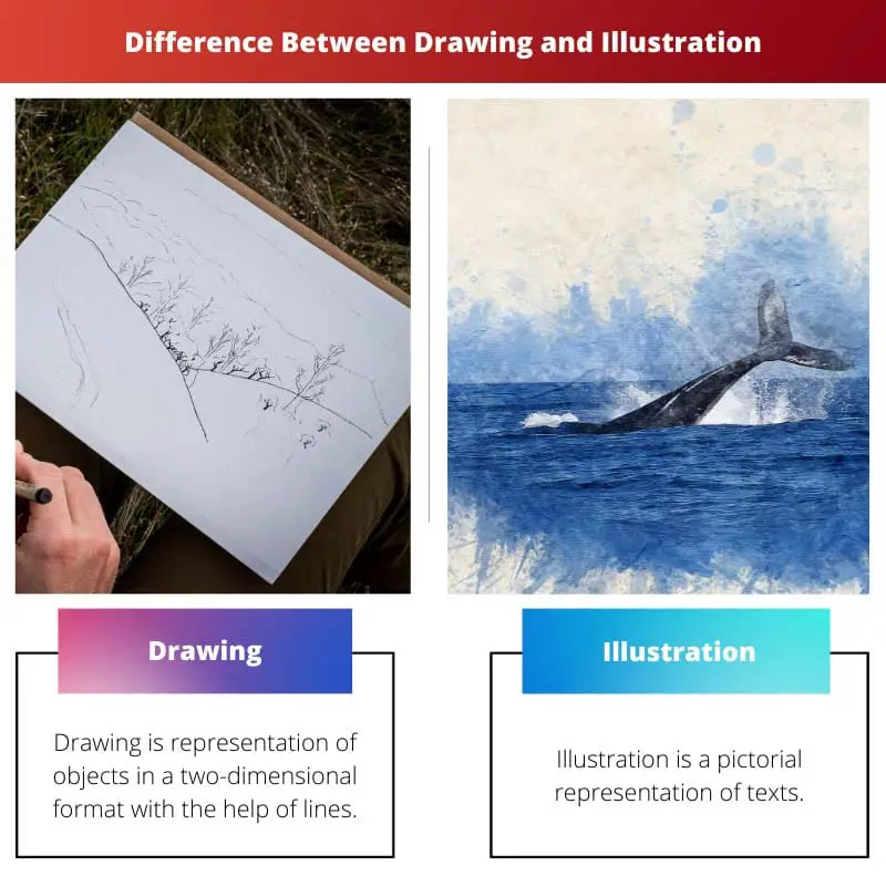 Difference Between Drawing and Illustration