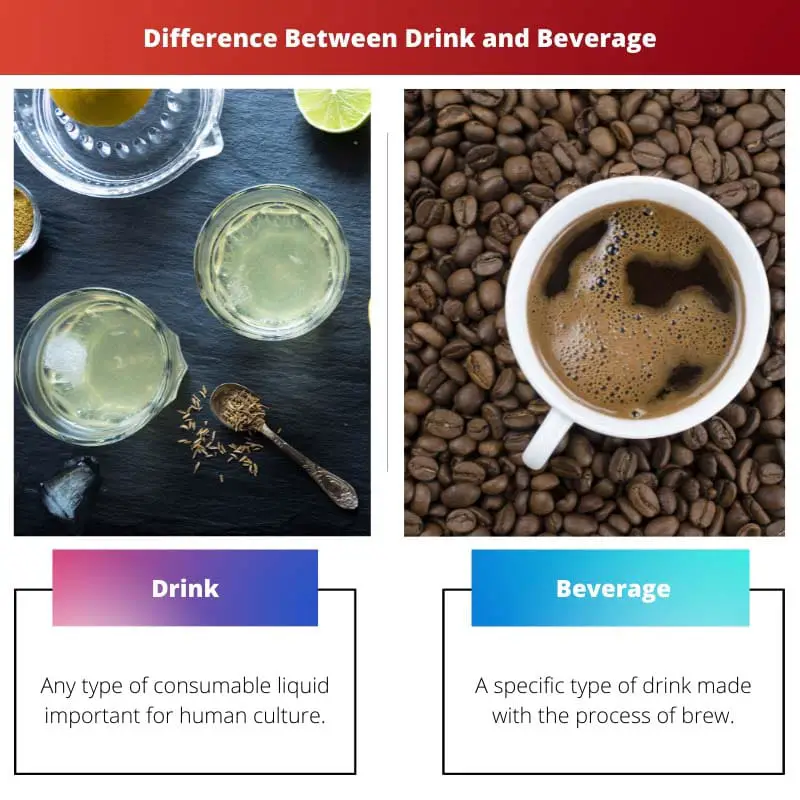Difference Between Drink and Beverage
