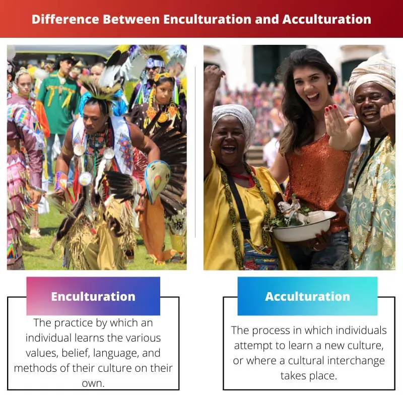 Difference Between Enculturation and Acculturation