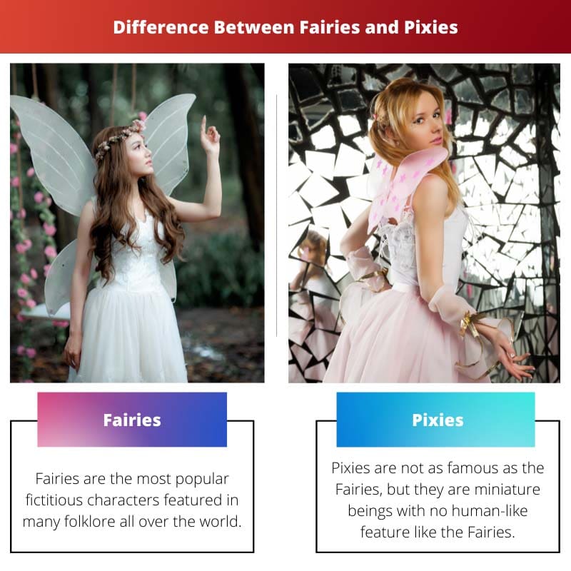 Difference Between Fairies and