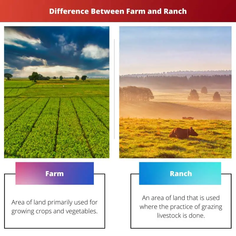 Difference Between Farm and Ranch