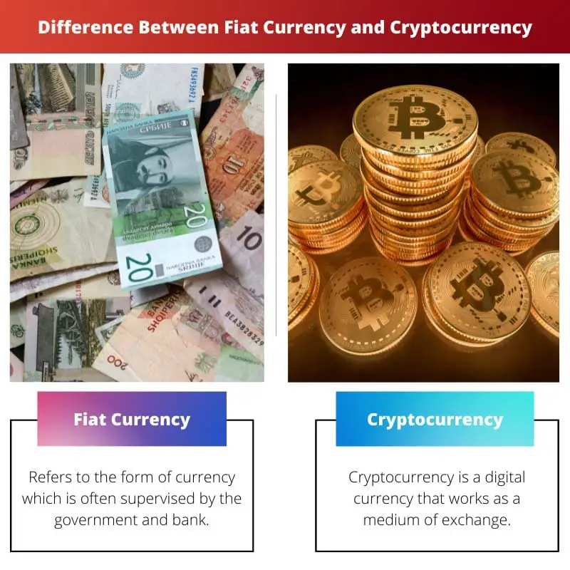 Difference Between Fiat Currency and Cryptocurrency