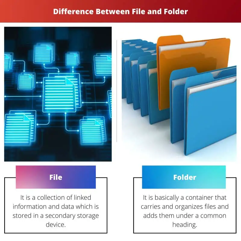 Difference Between File and Folder