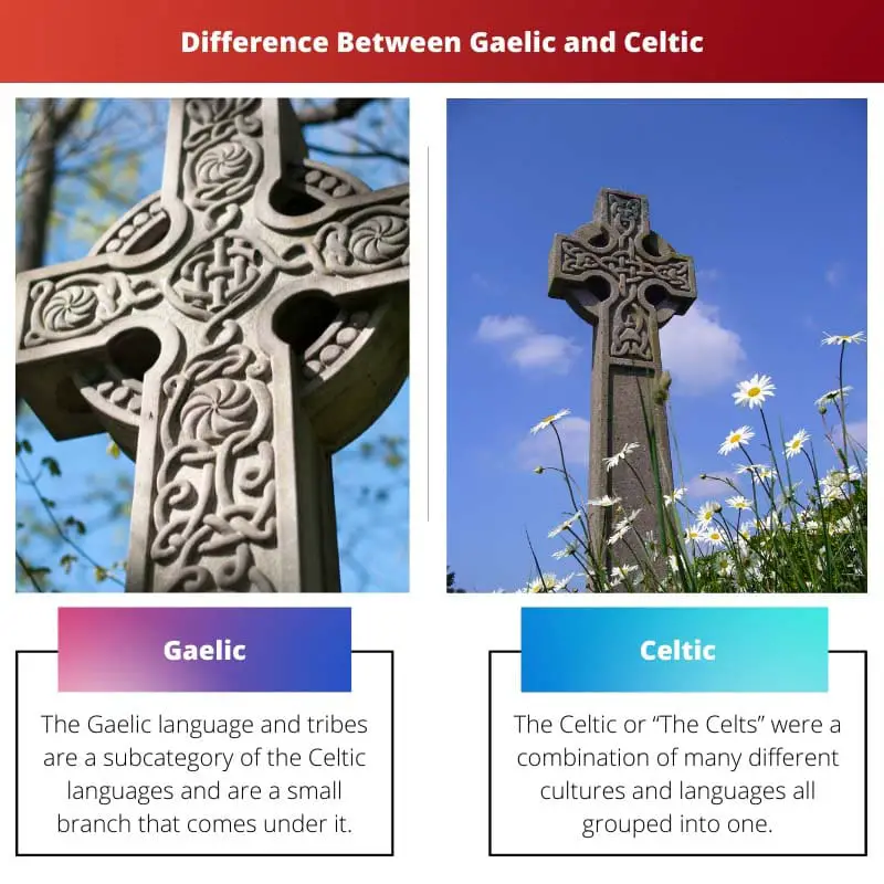 Difference Between Gaelic and Celtic