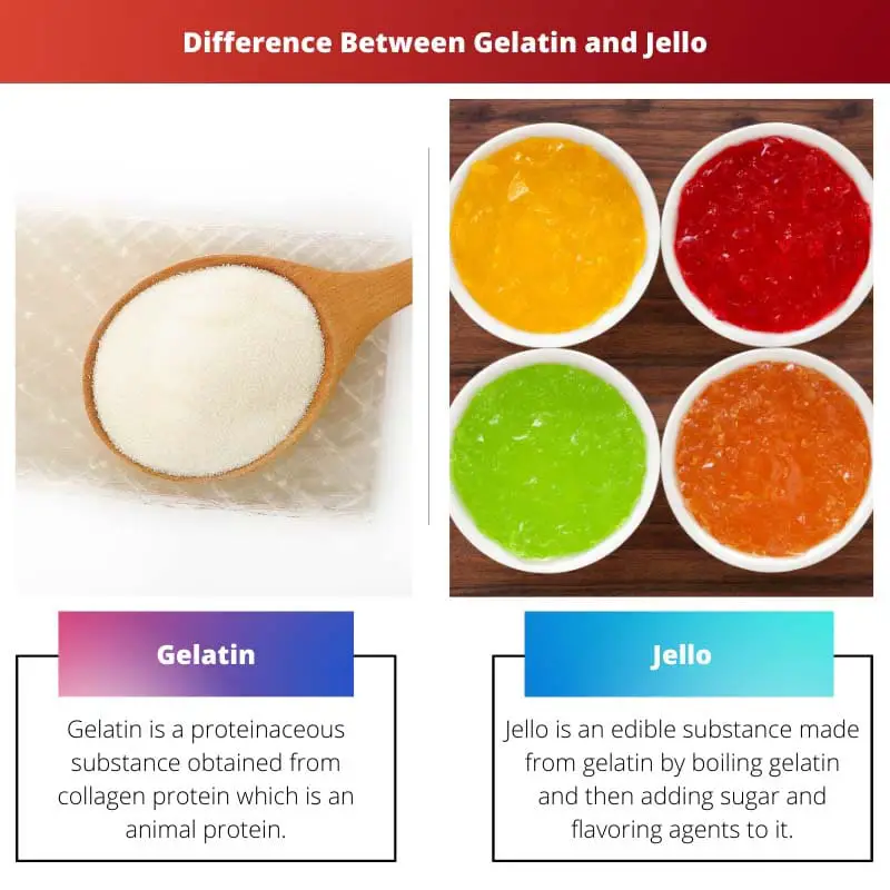 Difference Between Gelatin and Jello