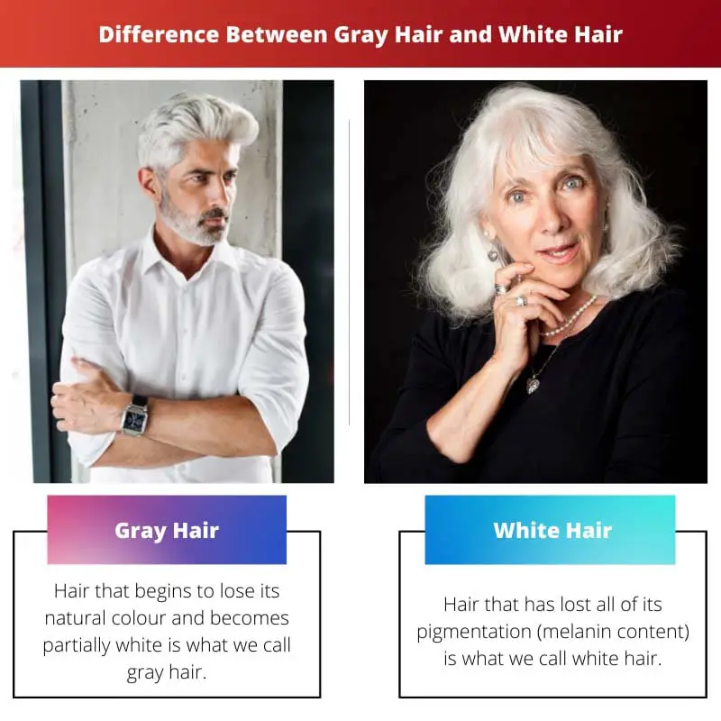Difference Between Gray Hair and White Hair
