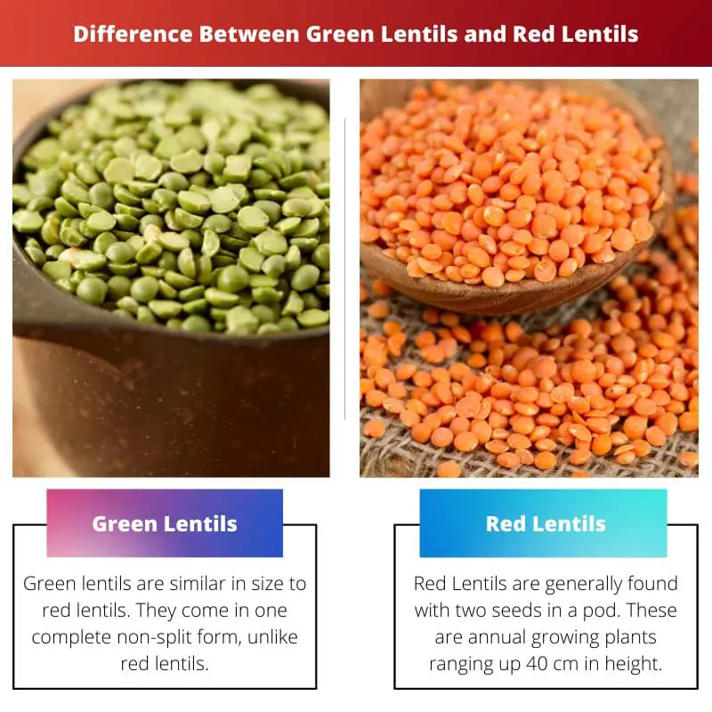 Difference Between Green Lentils and Red Lentils