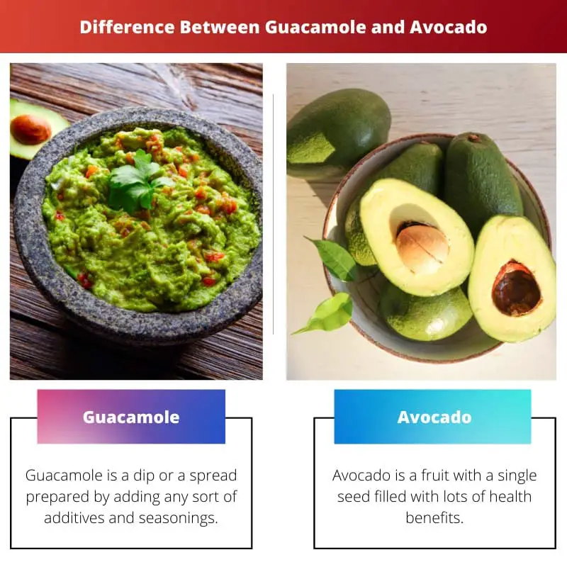 Difference Between Guacamole and Avocado