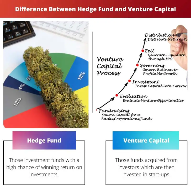 Difference Between Hedge Fund and Venture Capital