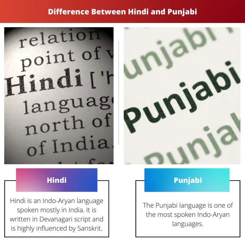 Difference Between Hindi and Punjabi