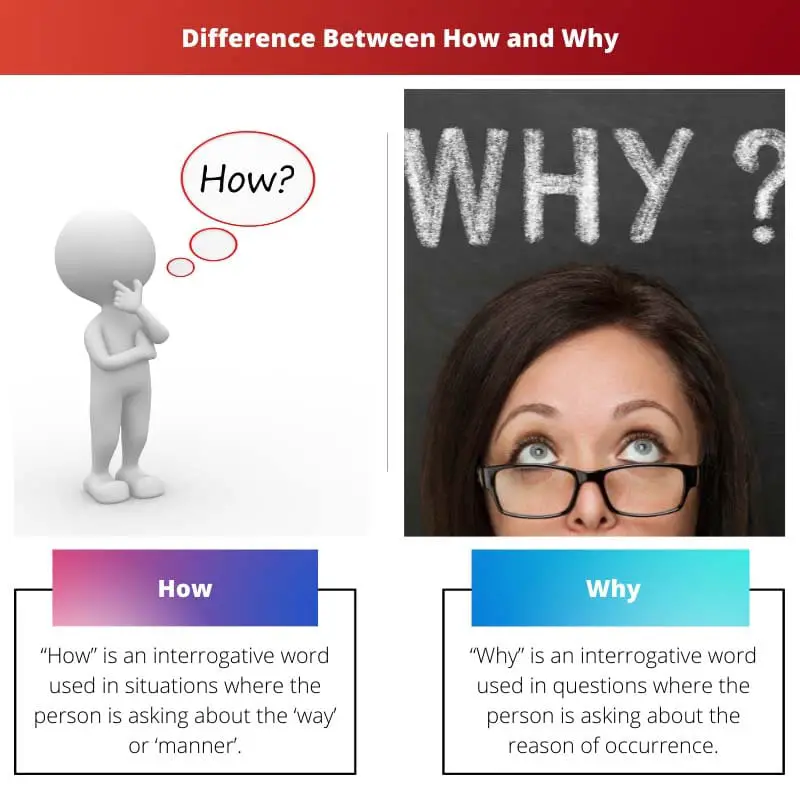 Difference Between How and Why