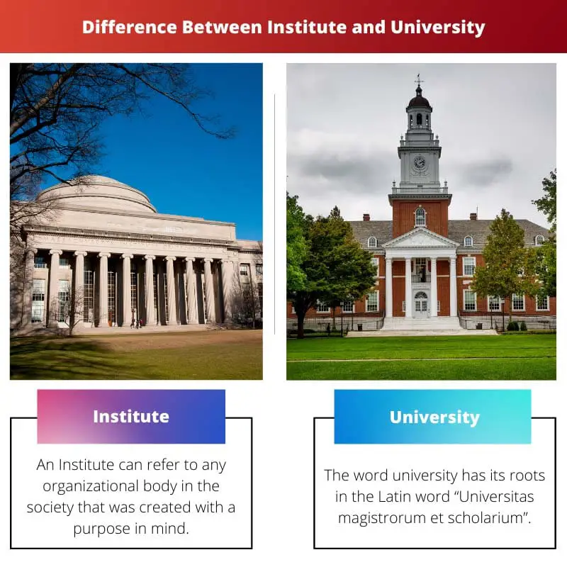 Difference Between Institute and University