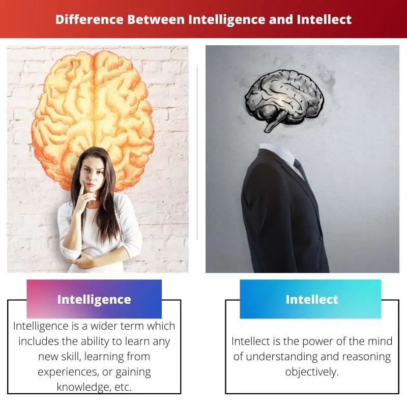 Difference Between Intelligence and Intellect