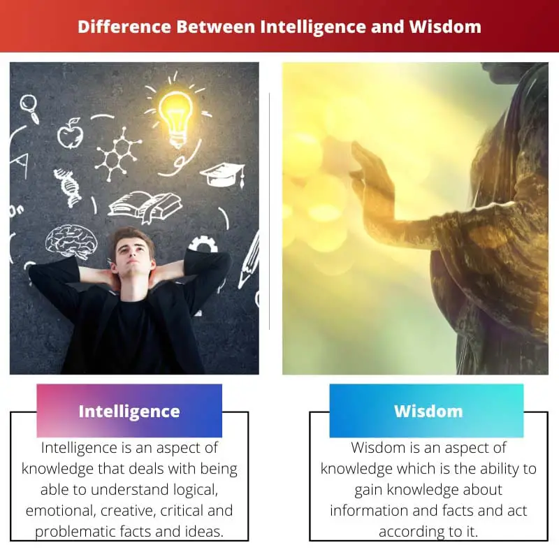 Difference Between Intelligence and Wisdom