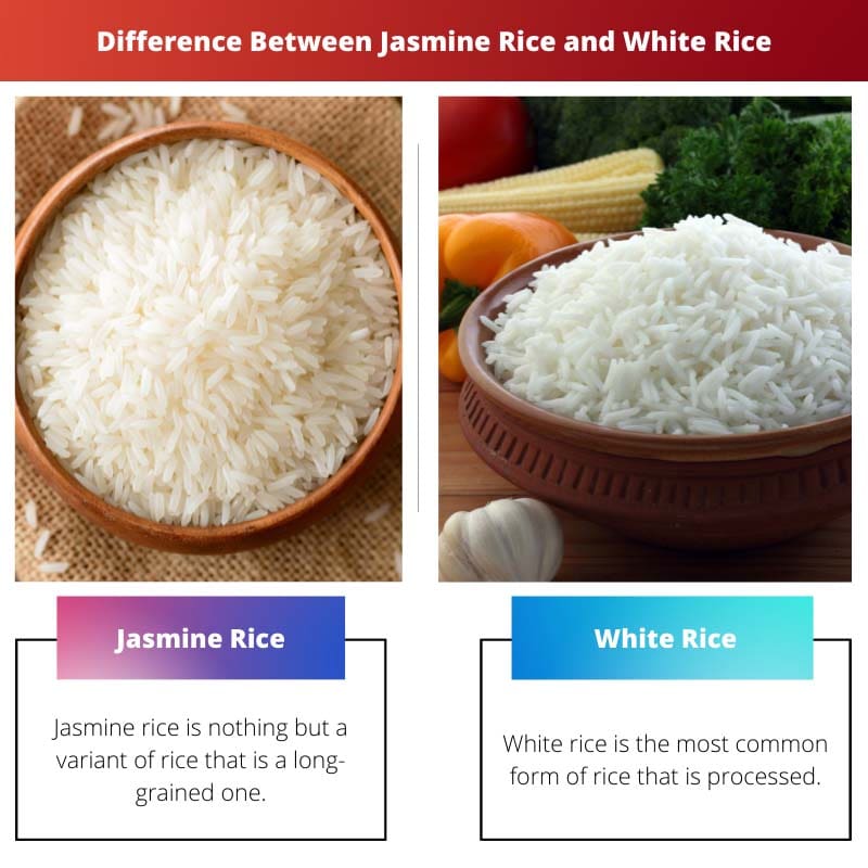 Difference Between Jasmine Rice and White Rice