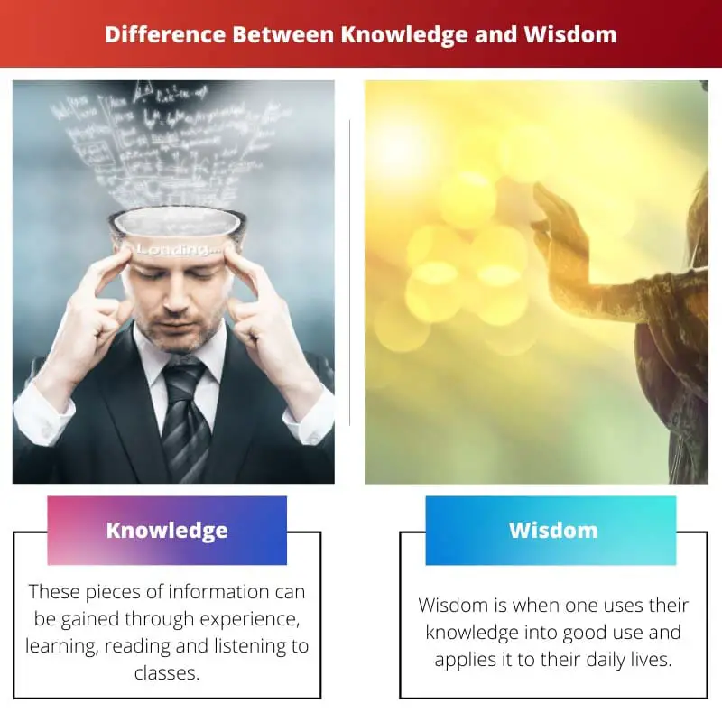 Difference Between Knowledge and Wisdom
