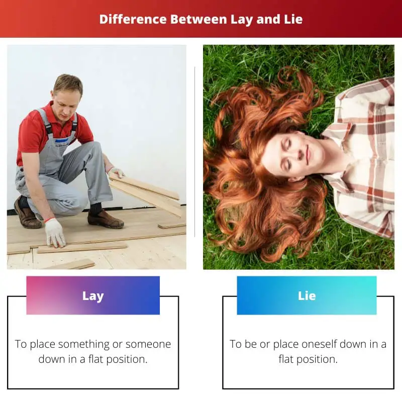 Difference Between Lay and Lie