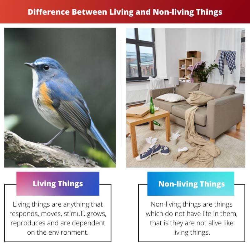 Difference Between Living and Non living Things