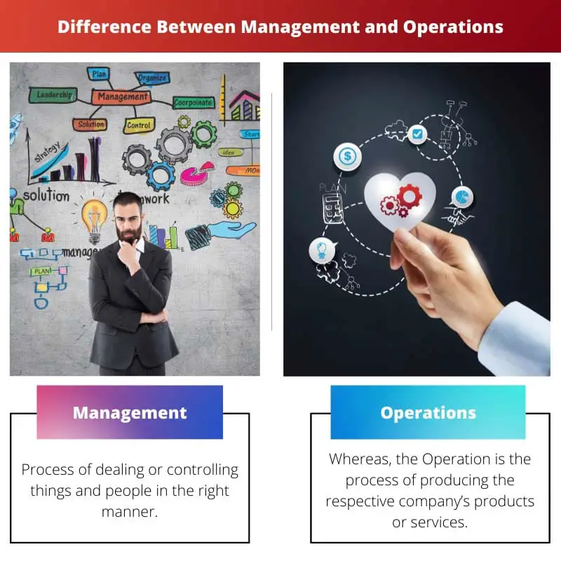 Difference Between Management and Operations