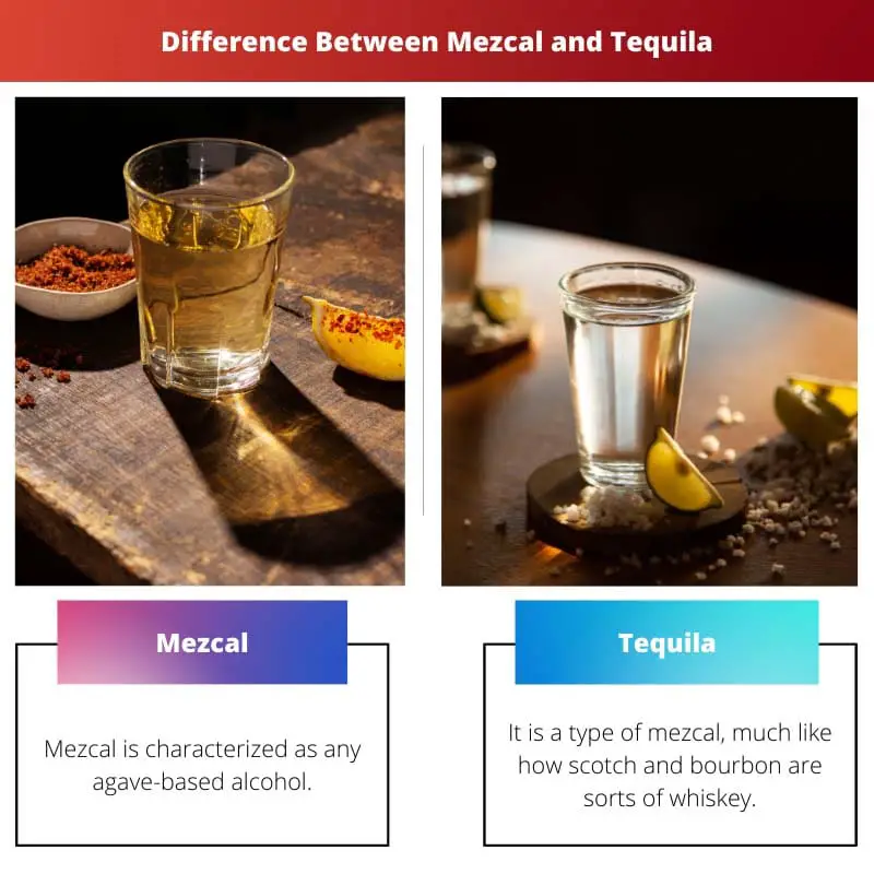 Difference Between Mezcal and Tequila
