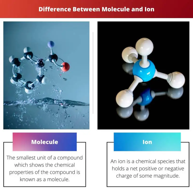Difference Between Molecule and Ion